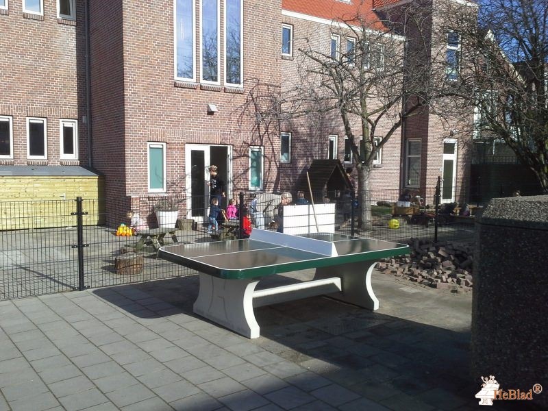 Freinetschool Delft, locatie Libel uit Delft