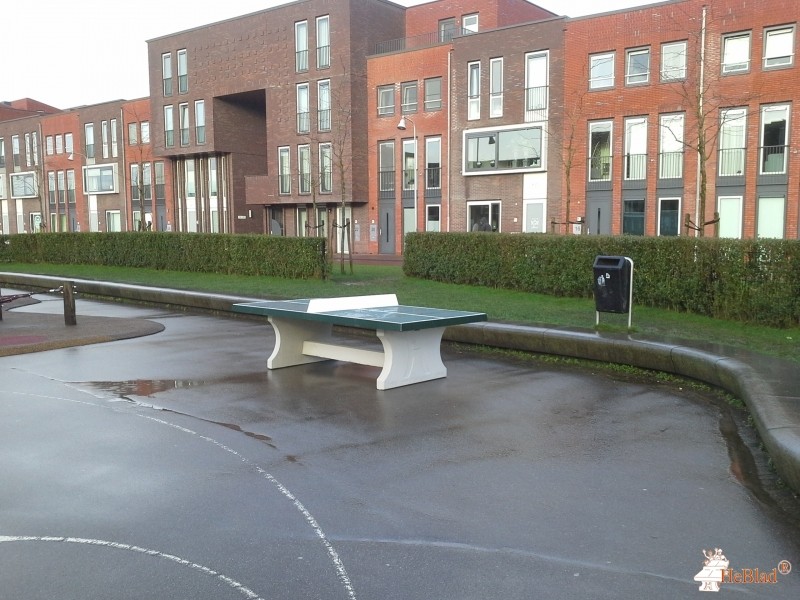 plein bij Regenboogschool uit Woerden