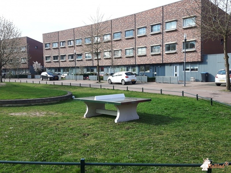 Gemeente Nijmegen uit Nijmegen
