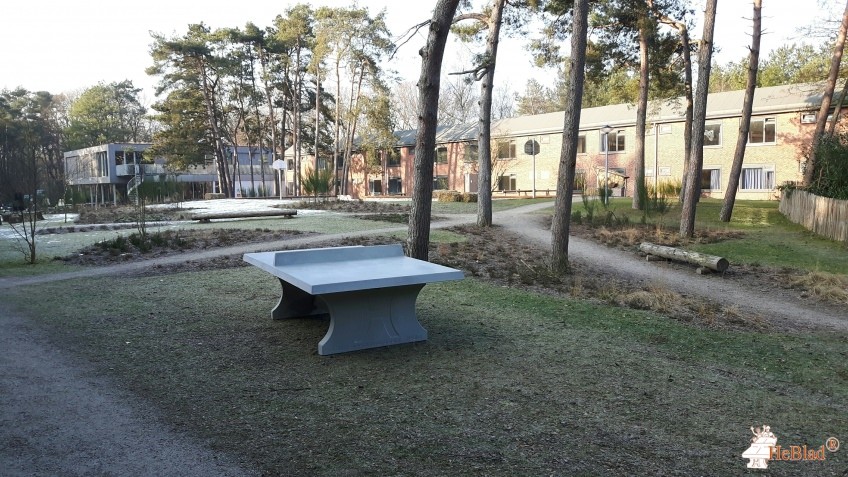 StayOkay uit Bergen op Zoom