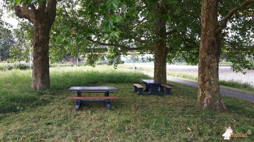 Park Loggestraat uit Utrecht