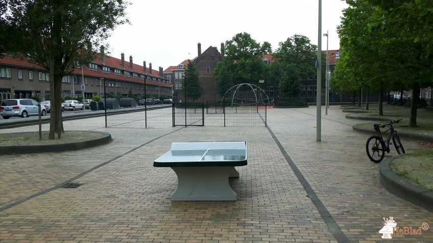 Kamerlingh Onnesplein uit Den Haag