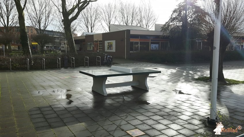 OBS Vogelnest uit Bodegraven