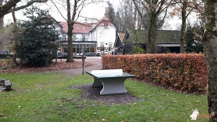 School in Bos uit Wilhelminaoord