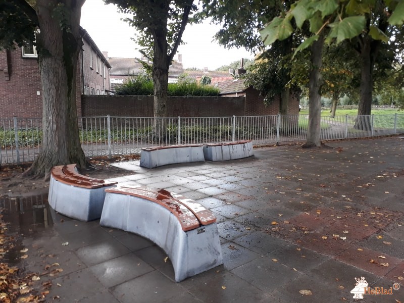 Basisschool de Biekorf uit Geertruidenberg