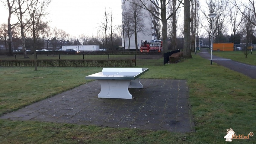 Speelveld uit Breda