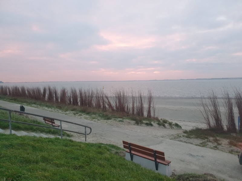 de Landing, zeedijk Baarland uit Baarland