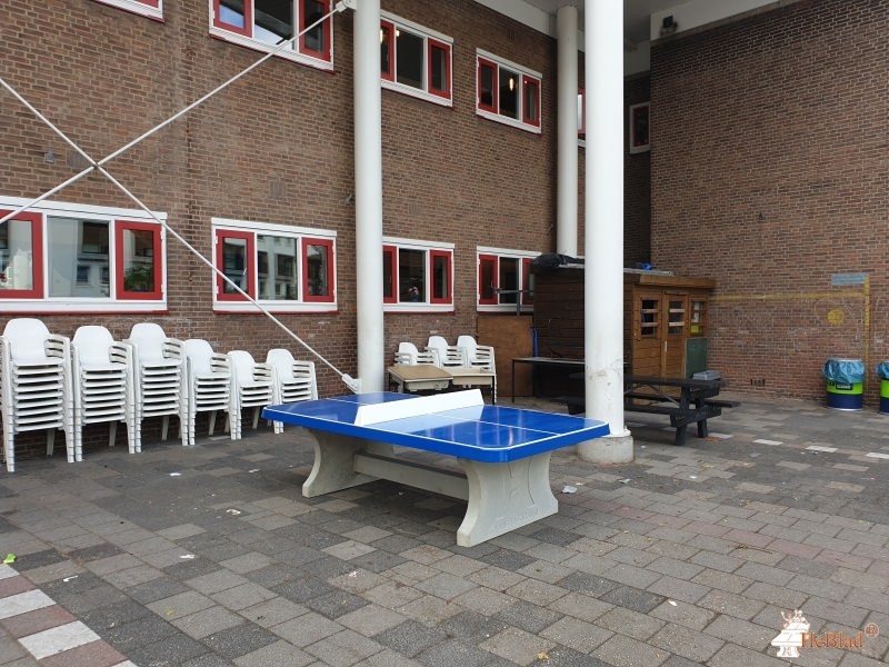 Nicolaas school uit Rotterdam