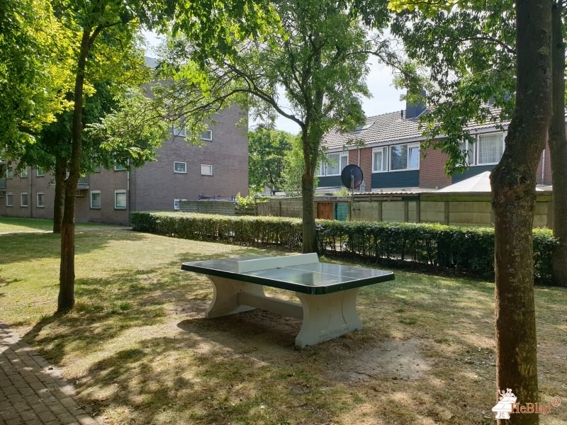 Speelveld uit Haarlem