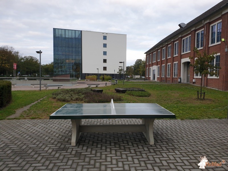 Avans Hogeschool uit Breda