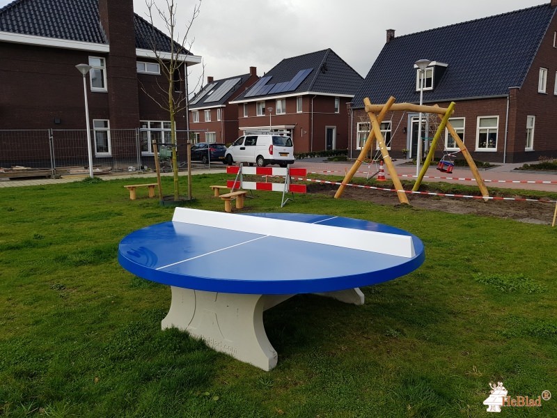 Speelveld uit Rijsbergen