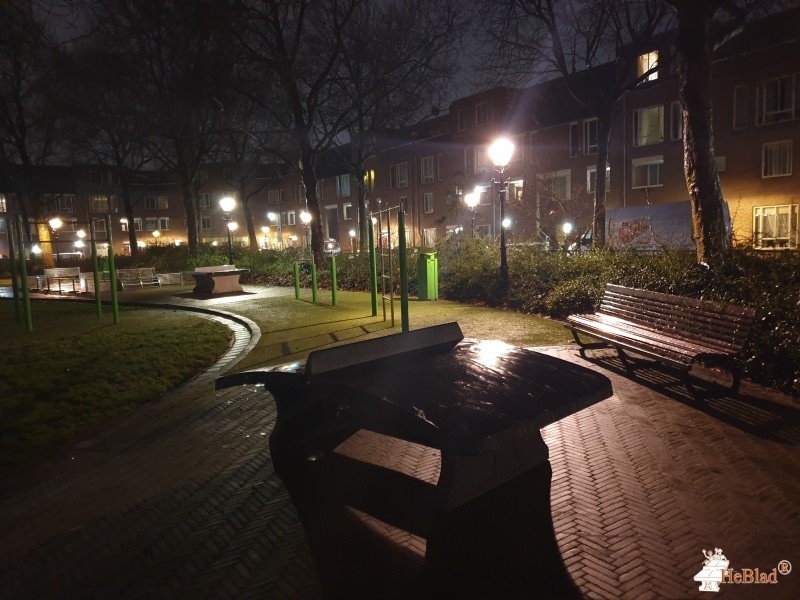 Heleen Van doeverenplantsoen uit Den Haag