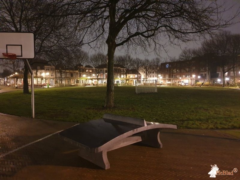 Heleen Van doeverenplantsoen uit Den Haag