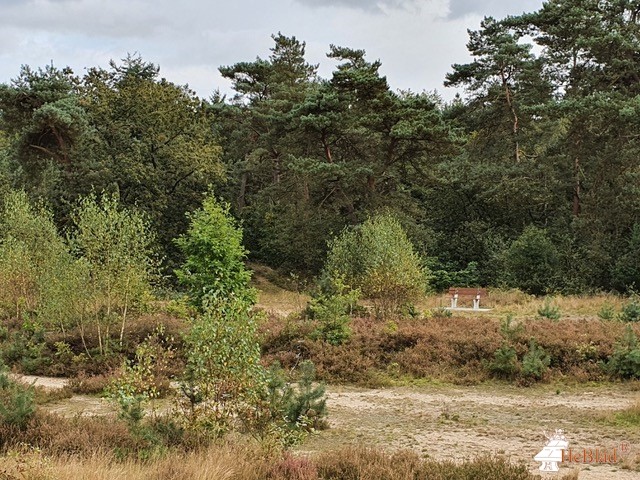 Van Maanen Vakantiehuizen (bos ernaast) uit Erm