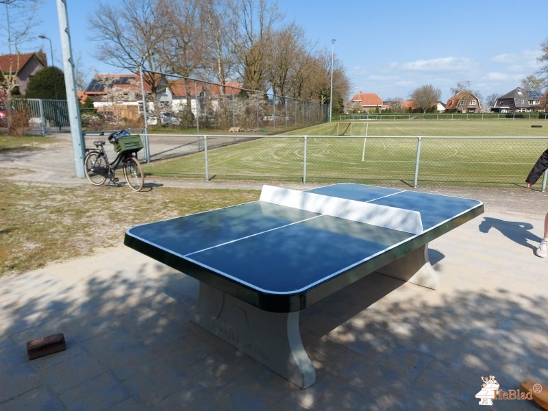 Bso sportvilla (korfbalvereniging de Eemvogels) uit Soest