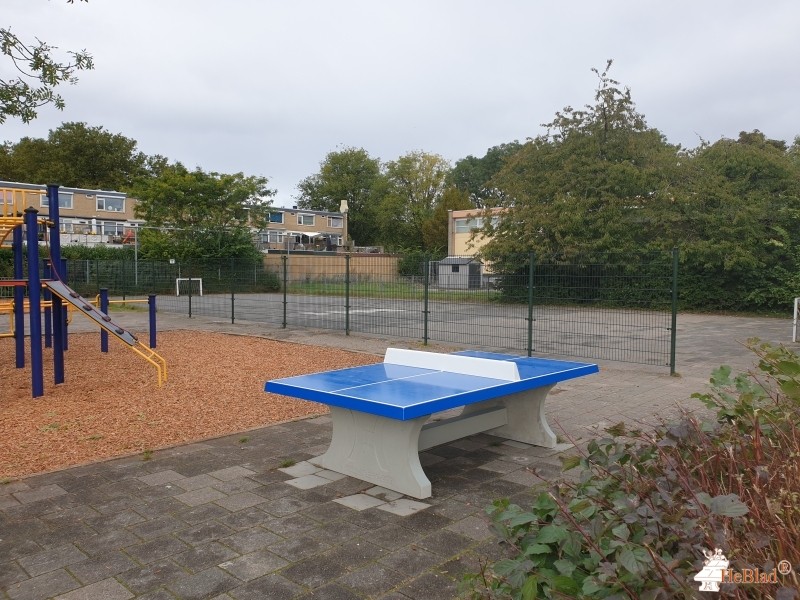 Schoolplein uit Ridderkerk