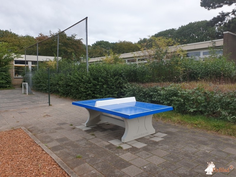 Schoolplein uit Ridderkerk