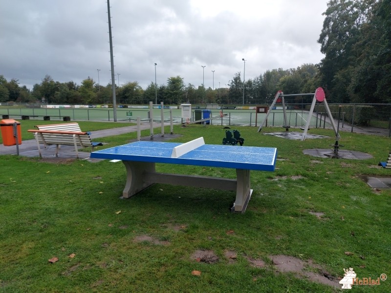 ZKV de Meervogels - Vernède Sportpark uit Zoetermeer