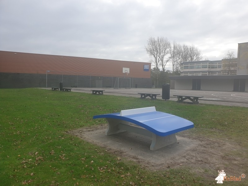 Lyceum aan Zee uit Den Helder