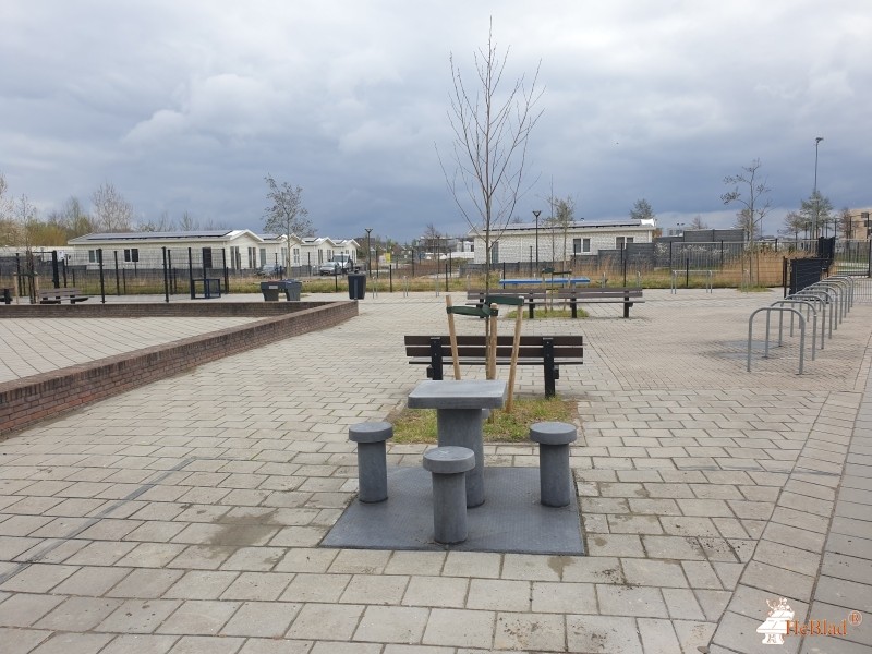 Het Aventurijncollege uit Bergen op Zoom