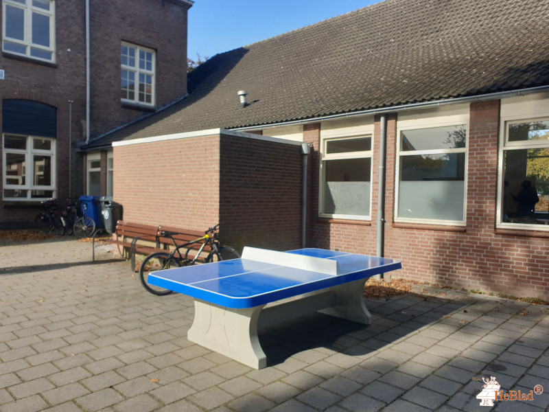 VSO De Isselborgh uit Doetinchem