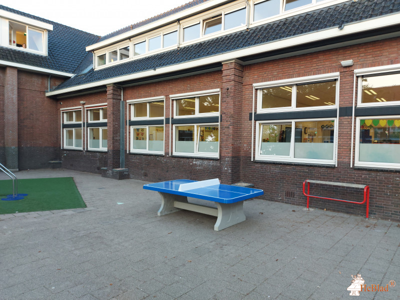 TWijs / Dr. H. Bavinckschool uit Haarlem