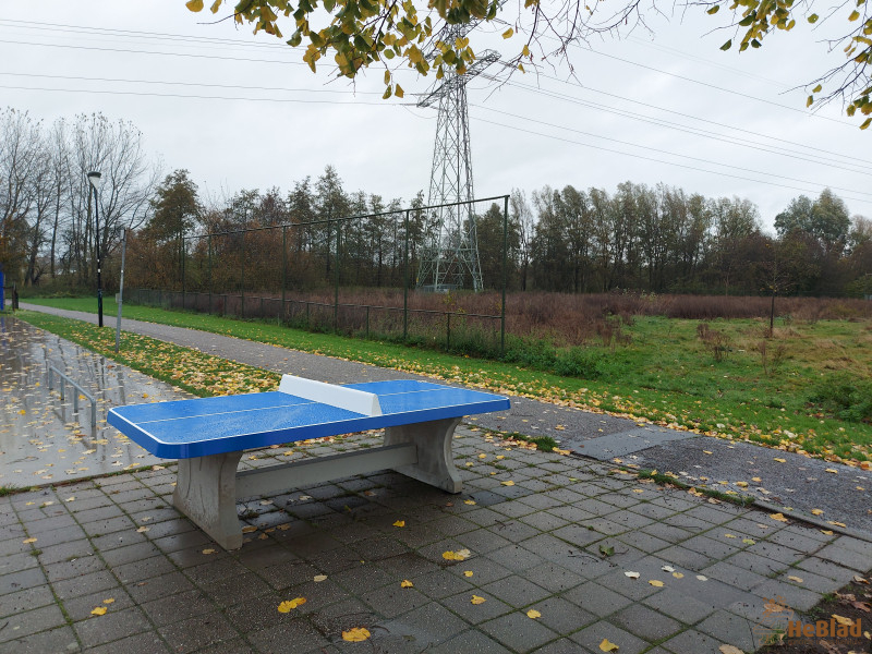 Gemeente Bunnik uit Odijk