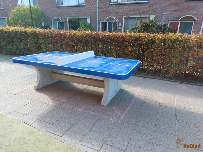 Basisschool 't Reigerbos uit Zevenhuizen