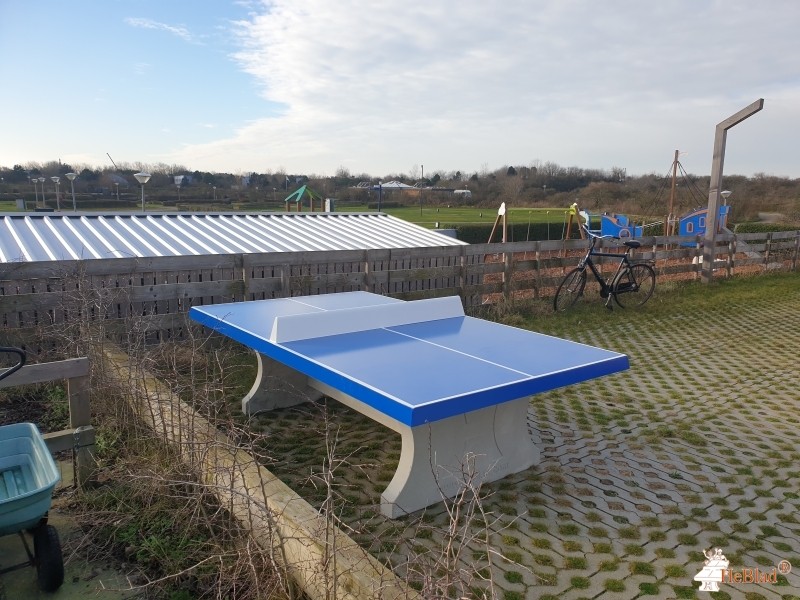 Molecaten Park Noordduinen uit Katwijk aan Zee