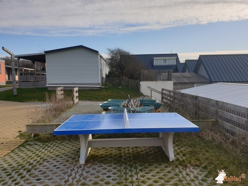 Molecaten Park Noordduinen uit Katwijk aan Zee