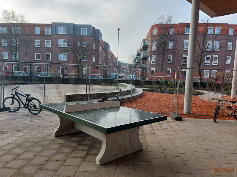 Basisschool Kasteel Spangen uit Rotterdam