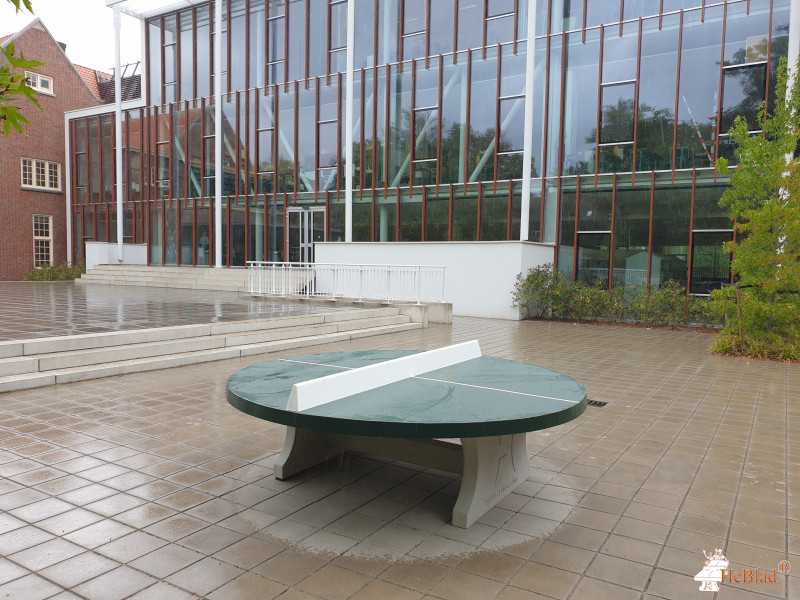 Stedelijk Gymnasium Johan van Oldenbarnevelt uit Amersfoort