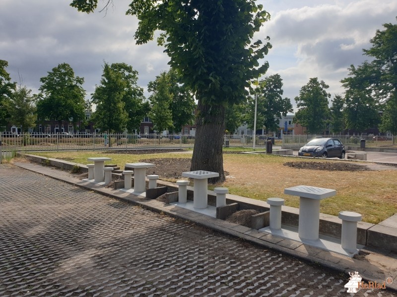 Stedelijk Gymnasium Breda uit Breda