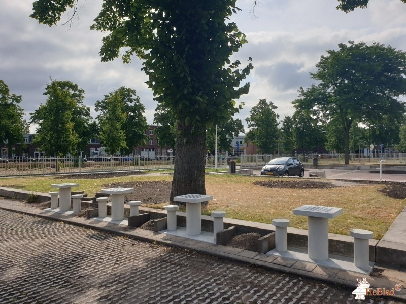 Stedelijk Gymnasium Breda uit Breda