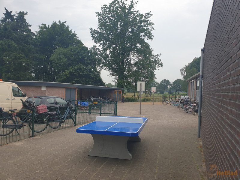 Dorpsschool Halle uit Halle