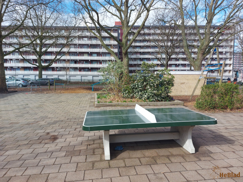 Alphense Montessorischool uit Alphen aan den Rijn