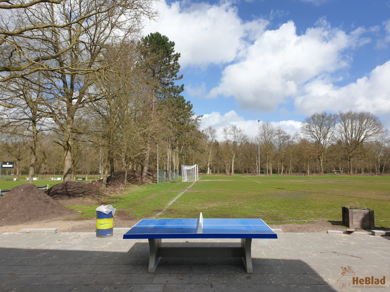 SV Haulerwijk(voetbalvereniging ) uit Haulerwijk