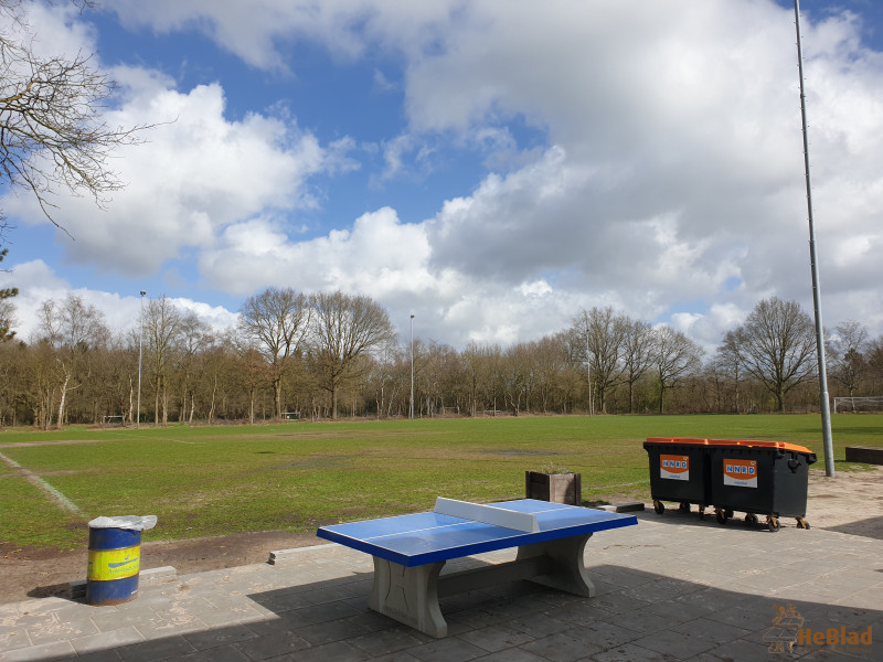 SV Haulerwijk(voetbalvereniging ) uit Haulerwijk