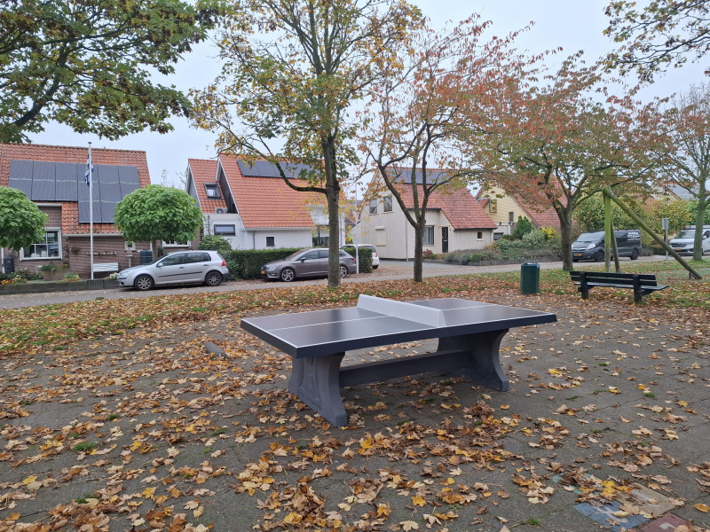 De Bruine Speeltoestellen uit Nieuwekerk